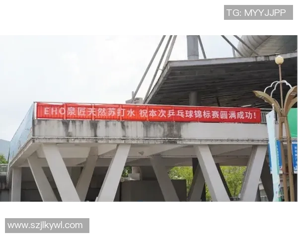 熊猫体育智能训练规划助力青少年全面提升运动能力与健康水平